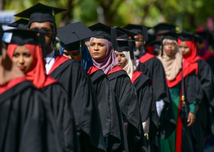 Postgraduate Programmes